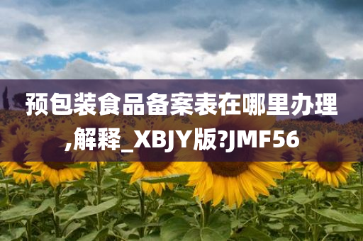 预包装食品备案表在哪里办理,解释_XBJY版?JMF56