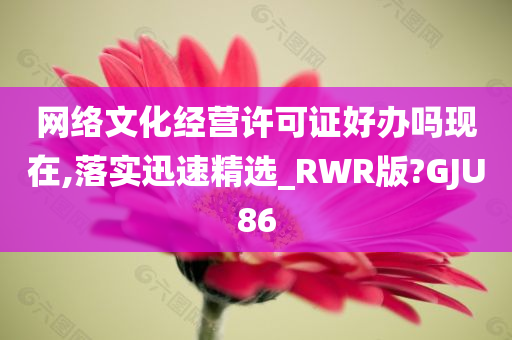 网络文化经营许可证好办吗现在,落实迅速精选_RWR版?GJU86