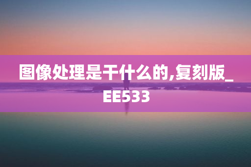 图像处理是干什么的,复刻版_EE533