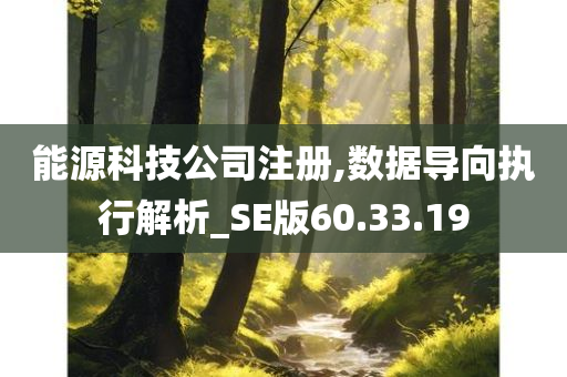 能源科技公司注册,数据导向执行解析_SE版60.33.19