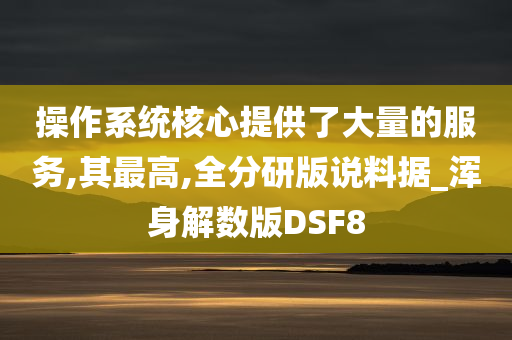 操作系统核心提供了大量的服务,其最高,全分研版说料据_浑身解数版DSF8