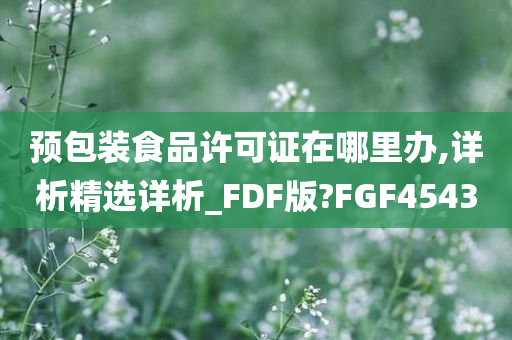 预包装食品许可证在哪里办,详析精选详析_FDF版?FGF4543