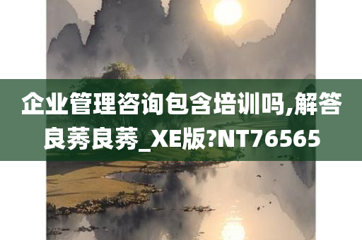 企业管理咨询包含培训吗,解答良莠良莠_XE版?NT76565