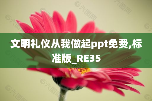 文明礼仪从我做起ppt免费,标准版_RE35