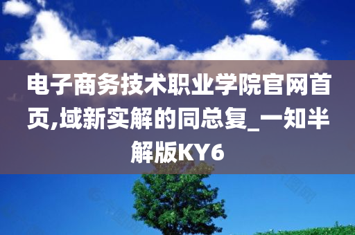 电子商务技术职业学院官网首页,域新实解的同总复_一知半解版KY6