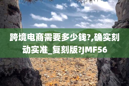 跨境电商需要多少钱?,确实刻动实准_复刻版?JMF56