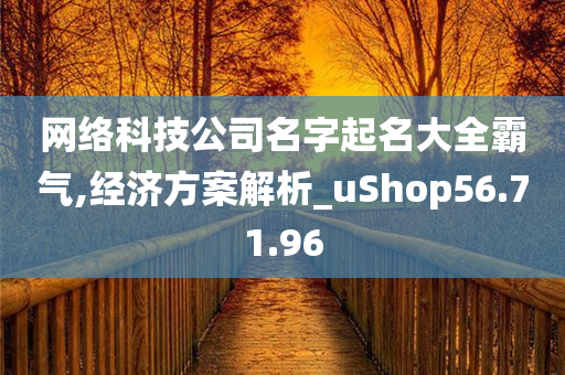 网络科技公司名字起名大全霸气,经济方案解析_uShop56.71.96