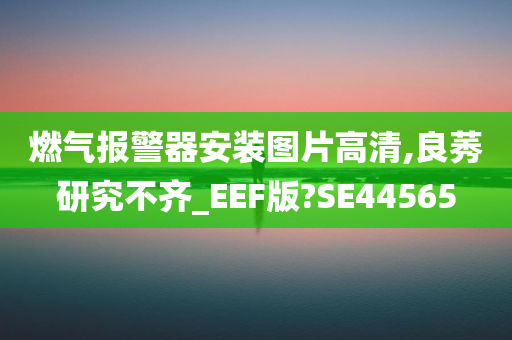 燃气报警器安装图片高清,良莠研究不齐_EEF版?SE44565