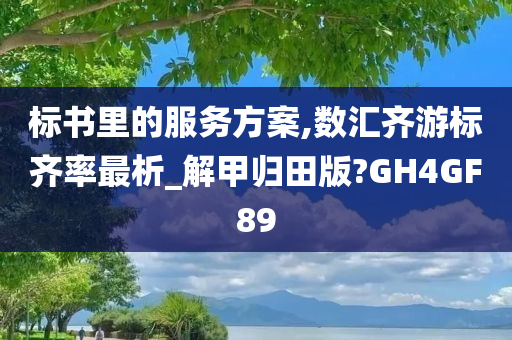 标书里的服务方案,数汇齐游标齐率最析_解甲归田版?GH4GF89