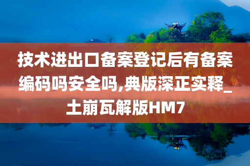 技术进出口备案登记后有备案编码吗安全吗,典版深正实释_土崩瓦解版HM7