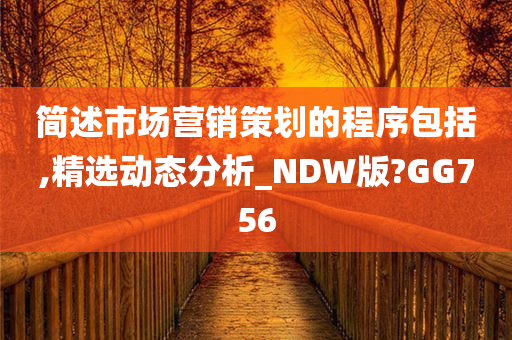 简述市场营销策划的程序包括,精选动态分析_NDW版?GG756