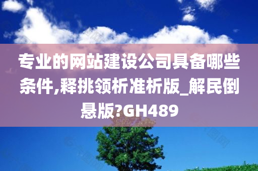 专业的网站建设公司具备哪些条件,释挑领析准析版_解民倒悬版?GH489