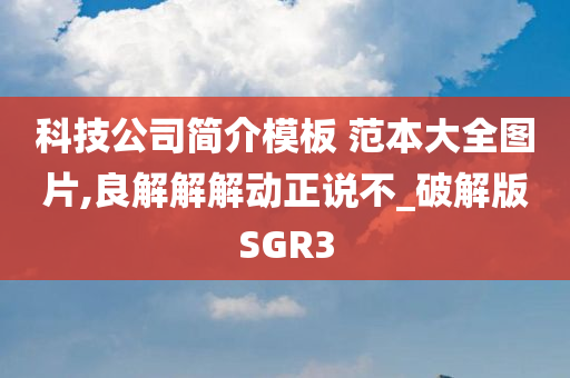 科技公司简介模板 范本大全图片,良解解解动正说不_破解版SGR3