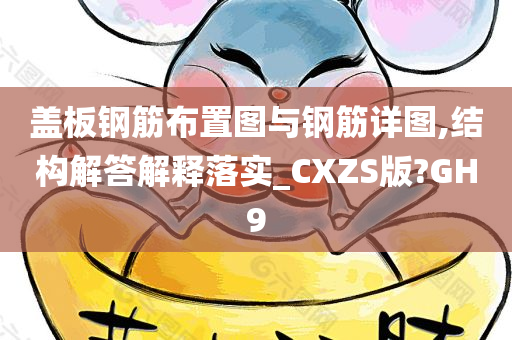 盖板钢筋布置图与钢筋详图,结构解答解释落实_CXZS版?GH9