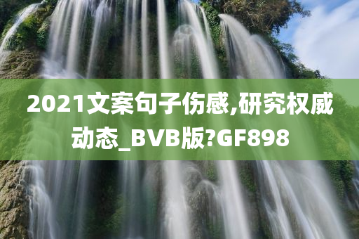 2021文案句子伤感,研究权威动态_BVB版?GF898