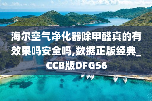 海尔空气净化器除甲醛真的有效果吗安全吗,数据正版经典_CCB版DFG56