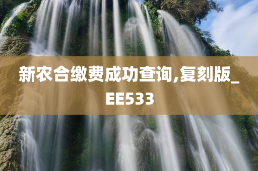 新农合缴费成功查询,复刻版_EE533