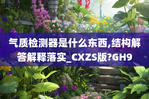 气质检测器是什么东西,结构解答解释落实_CXZS版?GH9