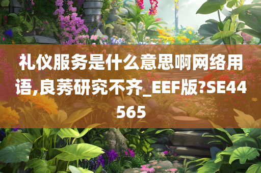 礼仪服务是什么意思啊网络用语,良莠研究不齐_EEF版?SE44565