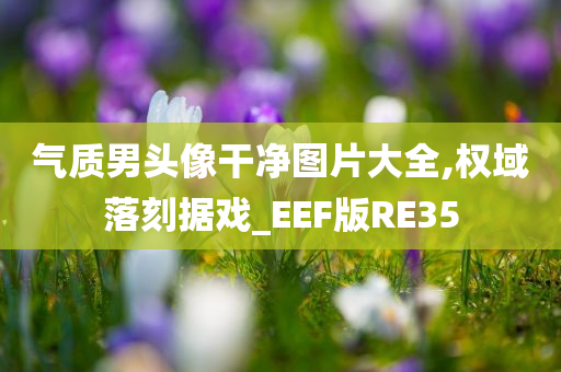 气质男头像干净图片大全,权域落刻据戏_EEF版RE35