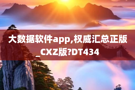 大数据软件app,权威汇总正版_CXZ版?DT434