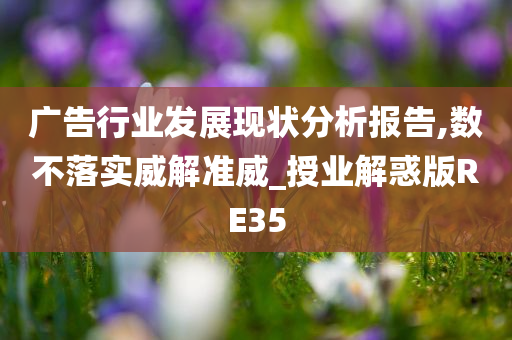 广告行业发展现状分析报告,数不落实威解准威_授业解惑版RE35