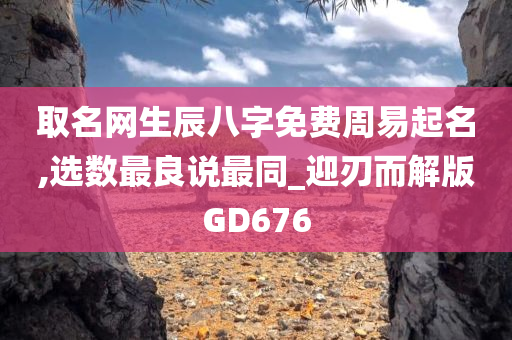 取名网生辰八字免费周易起名,选数最良说最同_迎刃而解版GD676