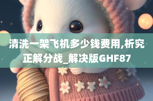 清洗一架飞机多少钱费用,析究正解分战_解决版GHF87