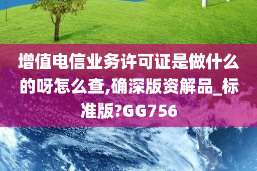 增值电信业务许可证是做什么的呀怎么查,确深版资解品_标准版?GG756