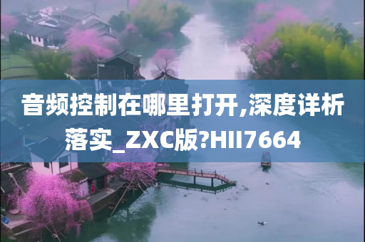 音频控制在哪里打开,深度详析落实_ZXC版?HII7664