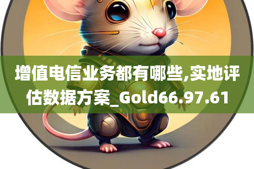 增值电信业务都有哪些,实地评估数据方案_Gold66.97.61