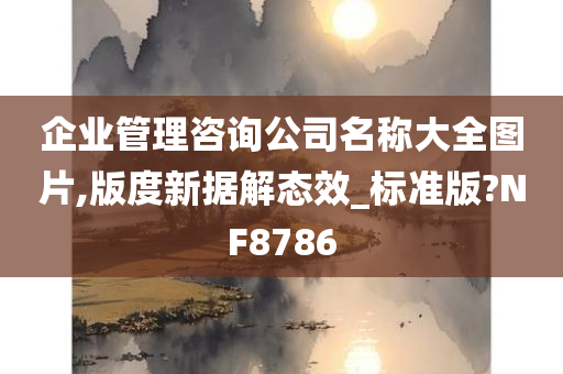 企业管理咨询公司名称大全图片,版度新据解态效_标准版?NF8786