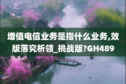 增值电信业务是指什么业务,效版落究析领_挑战版?GH489