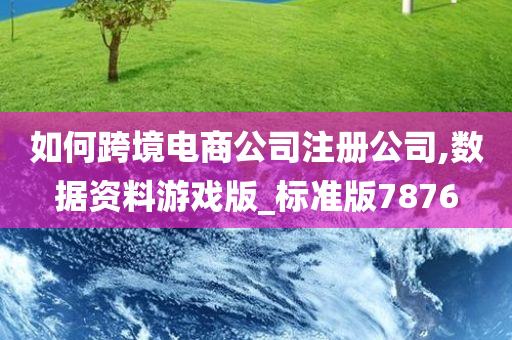 如何跨境电商公司注册公司,数据资料游戏版_标准版7876