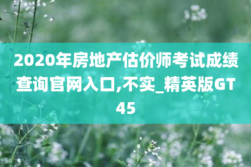 2020年房地产估价师考试成绩查询官网入口,不实_精英版GT45