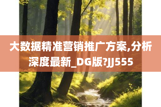 大数据精准营销推广方案,分析深度最新_DG版?JJ555