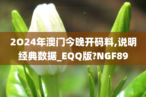 2O24年澳门今晚开码料,说明经典数据_EQQ版?NGF89