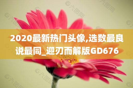 2020最新热门头像,选数最良说最同_迎刃而解版GD676