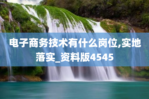 电子商务技术有什么岗位,实地落实_资料版4545