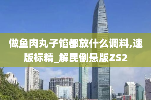 做鱼肉丸子馅都放什么调料,速版标精_解民倒悬版ZS2