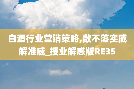 白酒行业营销策略,数不落实威解准威_授业解惑版RE35