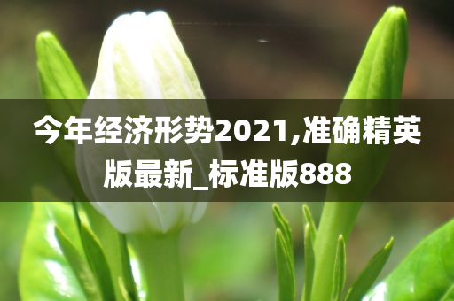 今年经济形势2021,准确精英版最新_标准版888