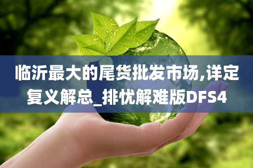 临沂最大的尾货批发市场,详定复义解总_排忧解难版DFS4