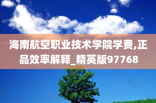 海南航空职业技术学院学费,正品效率解释_精英版97768