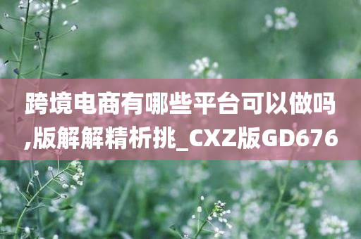 跨境电商有哪些平台可以做吗,版解解精析挑_CXZ版GD676