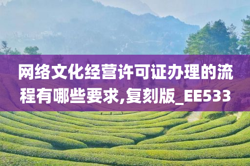 网络文化经营许可证办理的流程有哪些要求,复刻版_EE533