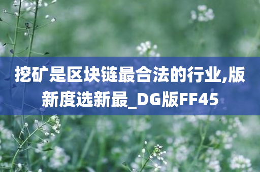 挖矿是区块链最合法的行业,版新度选新最_DG版FF45