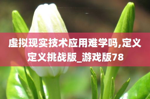 虚拟现实技术应用难学吗,定义定义挑战版_游戏版78