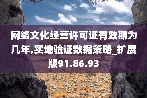 网络文化经营许可证有效期为几年,实地验证数据策略_扩展版91.86.93