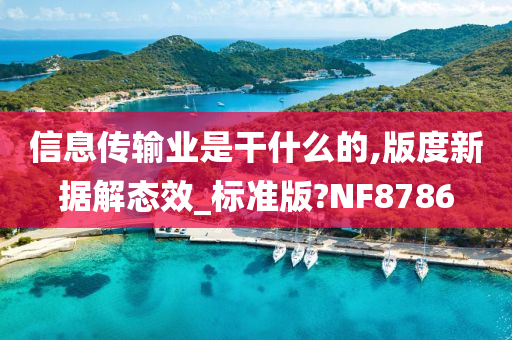 信息传输业是干什么的,版度新据解态效_标准版?NF8786